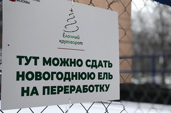 Пункты утилизации новогодних елок в Коммунарке откроются 2 января